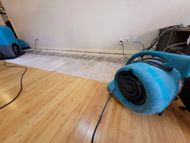 Professional Water Damage Repair technician working in Toronto, OH